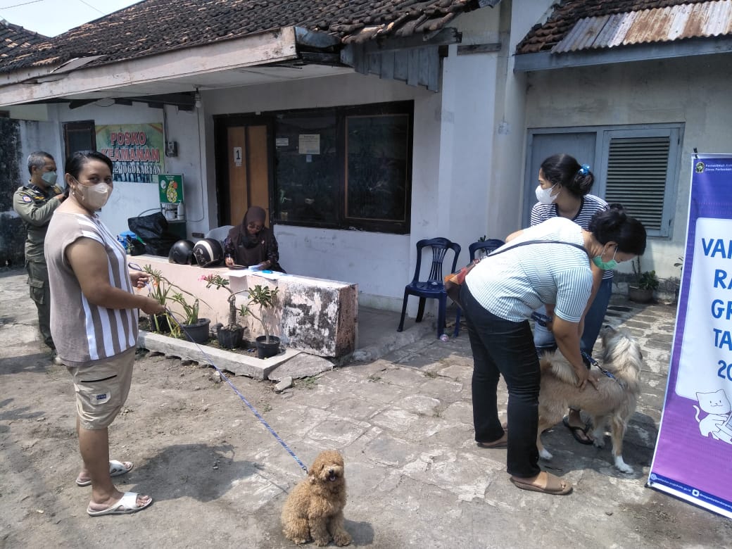 Pelaksanaaan Vaksin Rabies di Kelurahan Mantrijeron